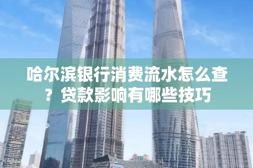 哈尔滨银行消费流水怎么查?贷款影响有哪些技巧